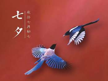 七夕節(jié)，你秀恩愛(ài)了嗎?