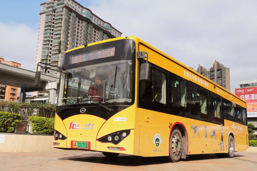 “導(dǎo)盲犬主題巴士”廣州公交廣告9路線發(fā)車了！