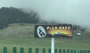 新疆高速立柱大牌廣告案例，烏魯木齊高速廣告酒類廣告案例