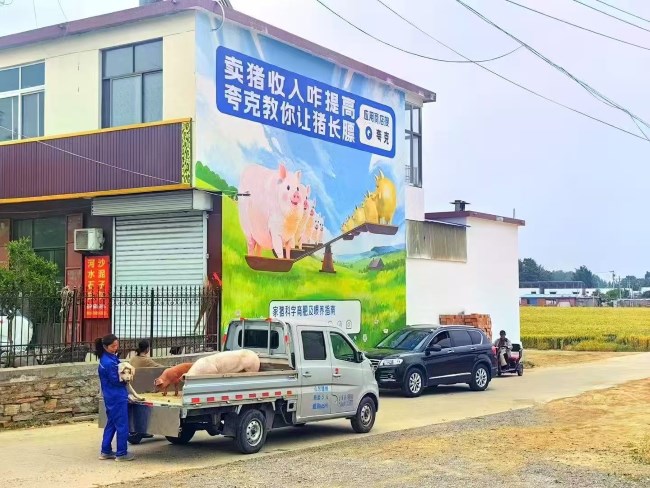 如何結(jié)合方言和文化元素設(shè)計刷墻廣告？